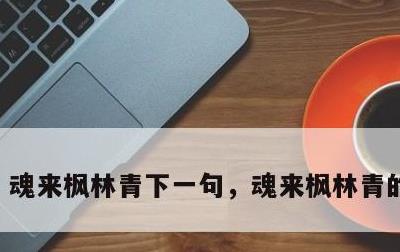 魂来枫林青下一句，魂来枫林青的上一句