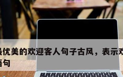 最优美的欢迎客人句子古风，表示欢迎的经典语句