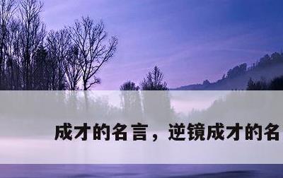 成才的名言，逆镜成才的名言