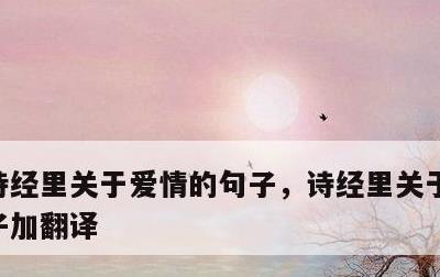 诗经里关于爱情的句子，诗经里关于爱情的句子加翻译