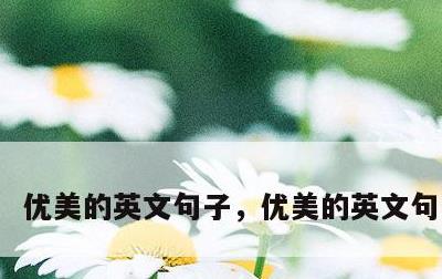 优美的英文句子，优美的英文句子励志