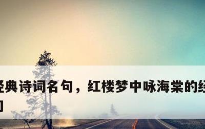 经典诗词名句，红楼梦中咏海棠的经典诗词名句