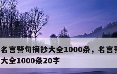 名言警句摘抄大全1000条，名言警句摘抄大全1000条20字