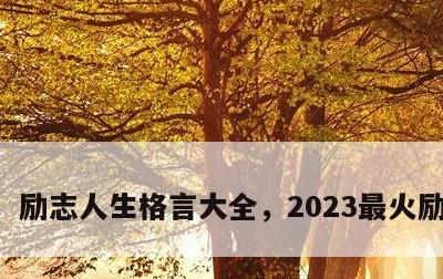 励志人生格言大全，2023最火励志金句