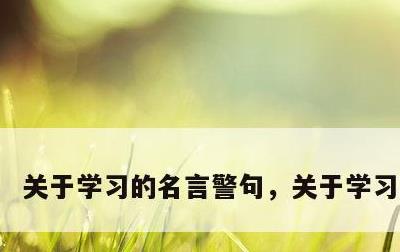 关于学习的名言警句，关于学习的名言