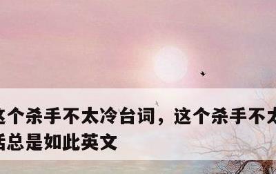 这个杀手不太冷台词，这个杀手不太冷台词生活总是如此英文