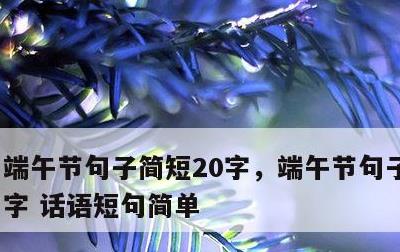 端午节句子简短20字，端午节句子简短20字 话语短句简单