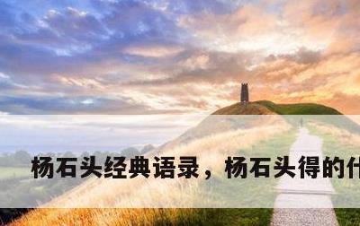 杨石头经典语录，杨石头得的什么病