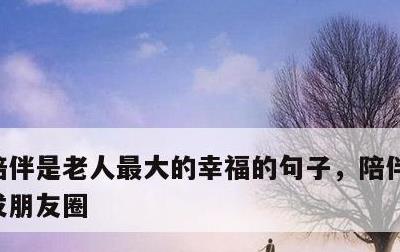 陪伴是老人最大的幸福的句子，陪伴老人怎么发朋友圈