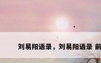 刘易阳语录，刘易阳语录 前任