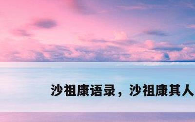 沙祖康语录，沙祖康其人