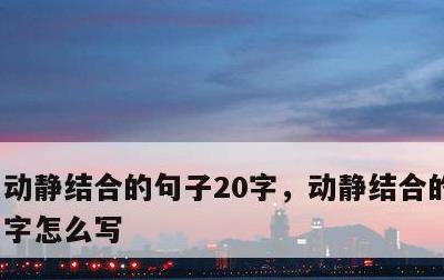 动静结合的句子20字，动静结合的句子20字怎么写