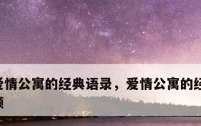 爱情公寓的经典语录，爱情公寓的经典语录视频