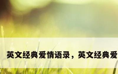 英文经典爱情语录，英文经典爱情句子