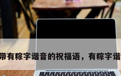 带有粽字谐音的祝福语，有粽字谐音的词语