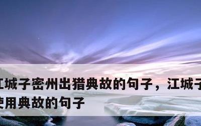 江城子密州出猎典故的句子，江城子密州出猎使用典故的句子