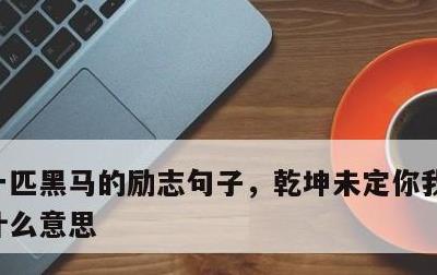 一匹黑马的励志句子，乾坤未定你我皆是黑马什么意思