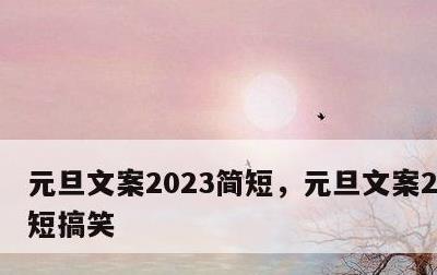 元旦文案2023简短，元旦文案2023简短搞笑