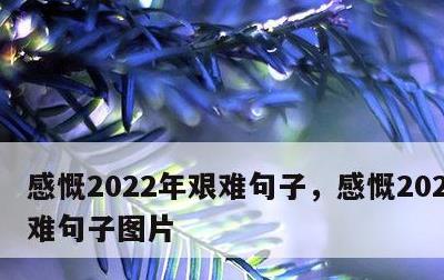 感慨2022年艰难句子，感慨2022年艰难句子图片