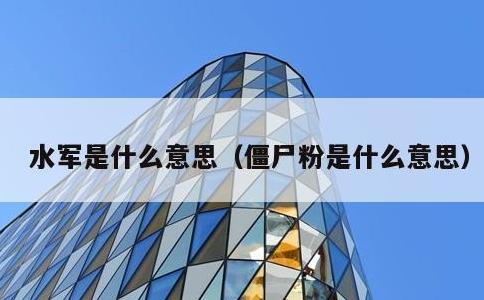 水军是什么意思，僵尸粉是什么意思