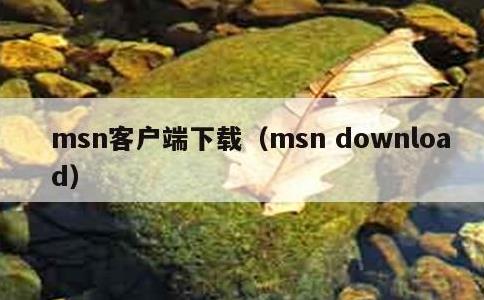 msn客户端下载，msn download